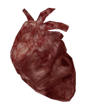 Free: Heart,human - Human Heart Png Gif 