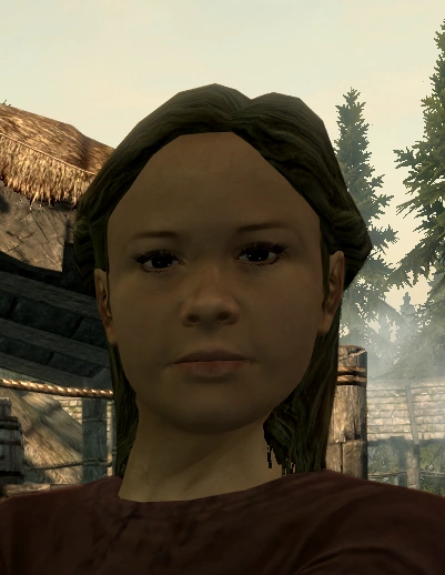 Skyrim fandom. Skyrim rp. Skyrim fandom. огмунд скайрим. скайрим лидия и довакин арт.