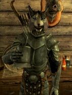 Kharjo, in his characteristic steel plate, enjoying a tankard of mead.