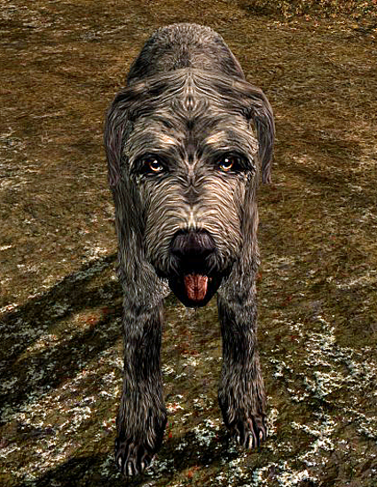 do dogs respawn in skyrim