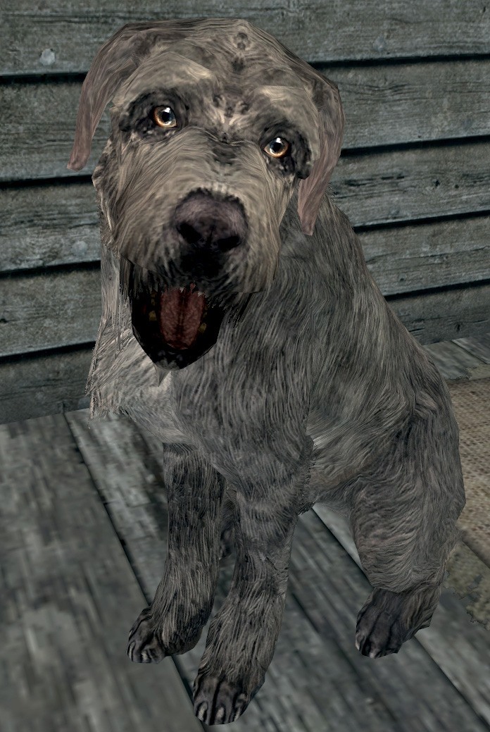 do dogs respawn in skyrim