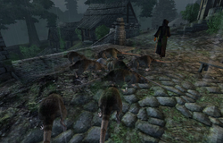 Sheogorath Quest Elder Scrolls Fandom Sheogorath Quest Elder Scrolls Fandom