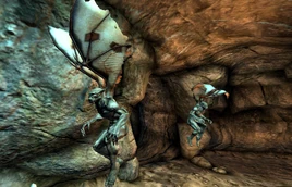 More Unfinished Business