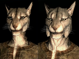 Khajiit