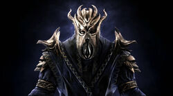 Bethsoft-dragonpriest.jpg