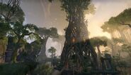 Bosmer Temple in Grahtwood