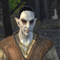 The Elder Scrolls Online on X: Sigma Tem the Dunmer Nightblade