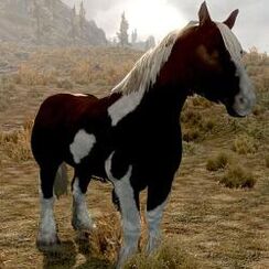 Horse (Skyrim)