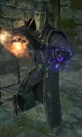 Northwatch Interrogator