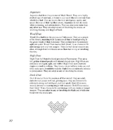 Player Guide 28.png (120 KB) Seite 28