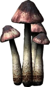 BleedingCrownRender.png