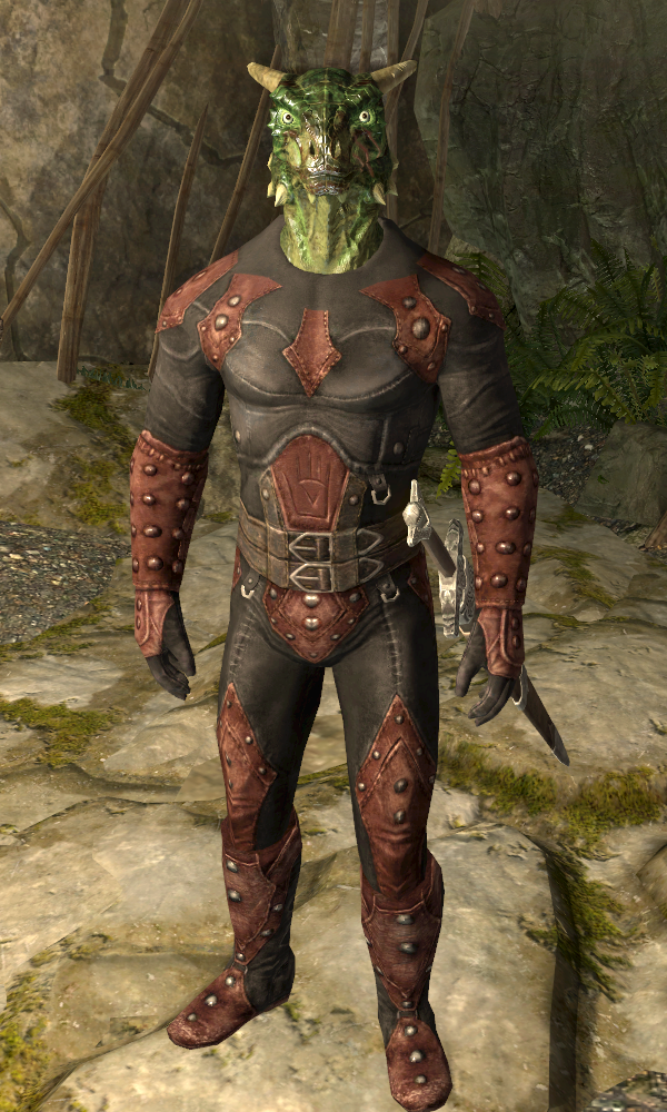 save the dark brotherhood sse