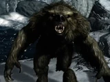 Werebear (Dragonborn)