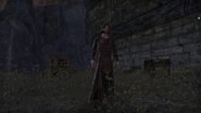 Alinon in The Elder Scrolls Online: Orsinium