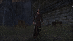 Elder Scrolls Wiki on X: Darien Gautier is a Breton captain of the Camlorn  Guard. Alinon the Alchemist describes him as a better tactician than his  father, General Gautier, even if he