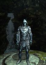Zbroja Słowiki Skyrim