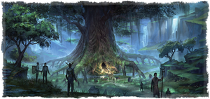 Wyrd Tree Interactive Map