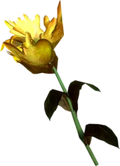 Un , unico del Falkreath