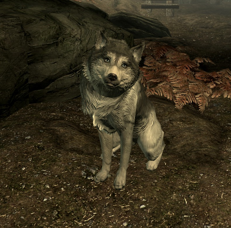 Can you have a husky in Skyrim?