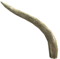 Mammoth Tusk