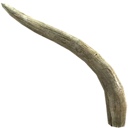Mammoth Tusk