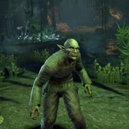 Byz (Online).jpg (140 KB) Altmerski niewolnik z gry The Elder Scrolls Online