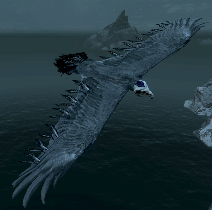 Bone Hawk Elder Scrolls Fandom Bone Hawk Elder Scrolls Fandom