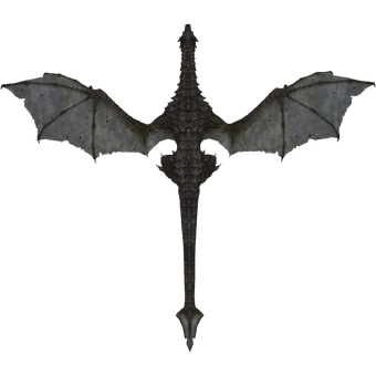 Dragons Skyrim Elder Scrolls Fandom Dragons Skyrim Elder Scrolls Fandom