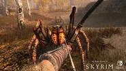 SkyrimSwitch Spiders.jpg (2.17 MB)