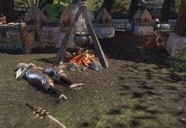 The falinesti faithful1