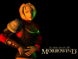 Nordka w TES III: Morrowind