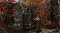 Shrine of Talos Riften.png