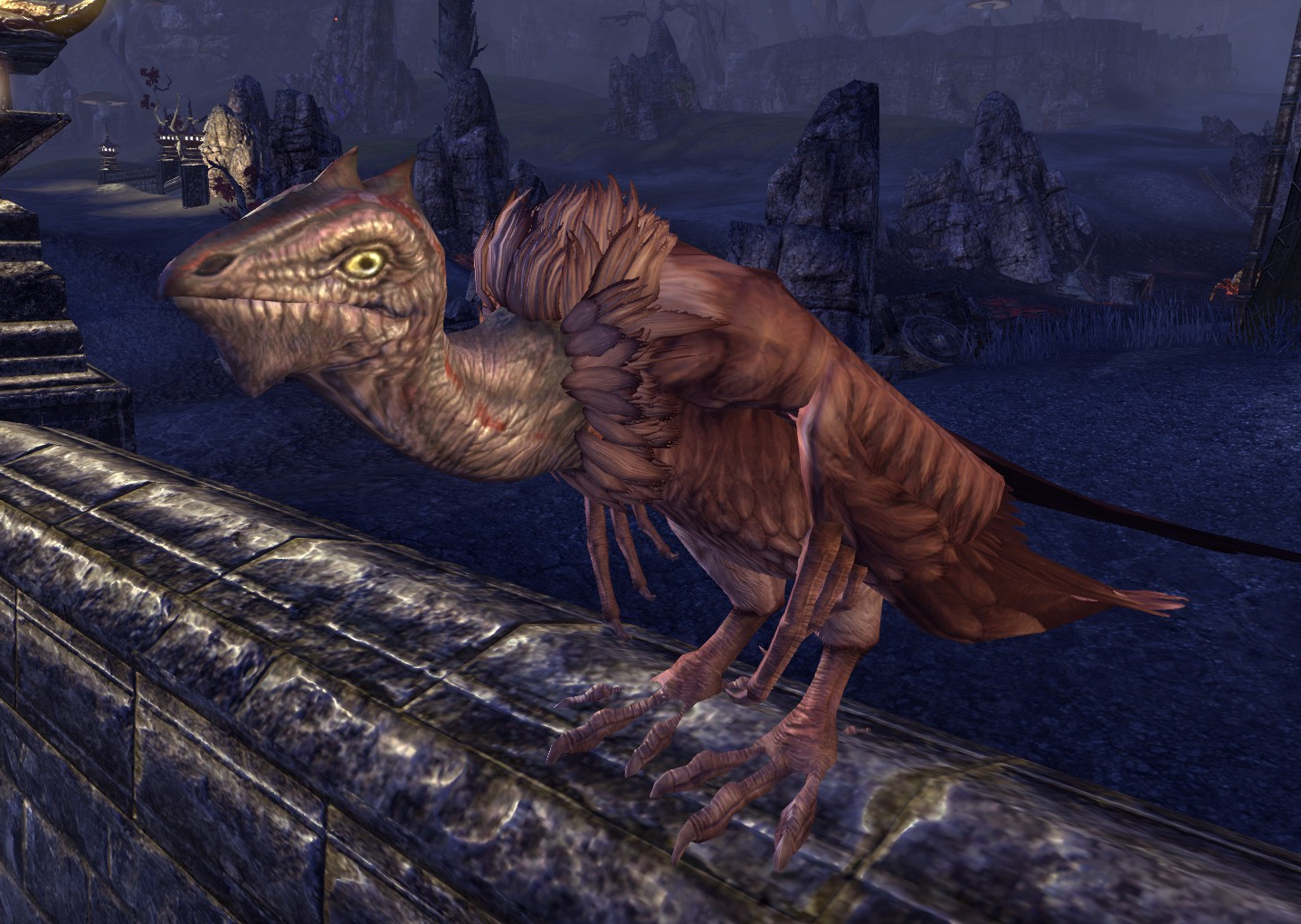 elder scrolls online the racer elder scrolls online the racer