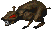 A rat in Daggerfall, in its skittering animation.