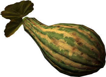 Gourd