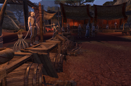 Lizard racing1