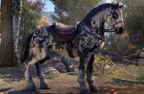 ESO Fashion  Dapple Gray Palfrey (Elder Scrolls Online)