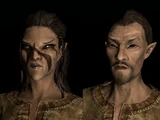 Bosmer (Skyrim)