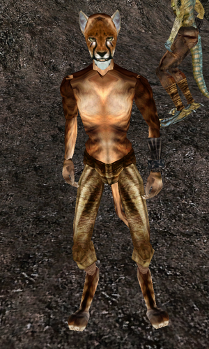 Ashidasha (Morrowind)