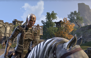 Redguard woman on horseback.