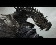 Paarthurnax2