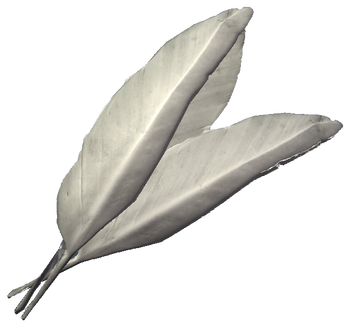 Felsaad tern feathers