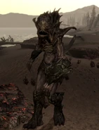 Dragonborn-trailer-14.png (1,53 Mio)