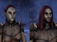 Female and male Dunmer