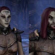 Dunmer Elder Scrolls Fandom The dunmer are stalwart defenders of the ebonheart pact.