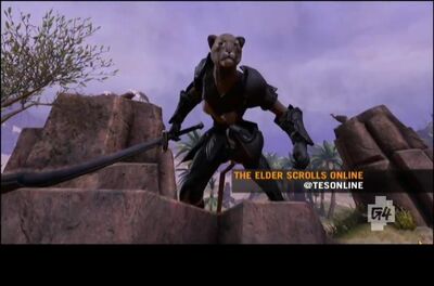 Forum:CC:New Khajiit Breed in ESO?, Elder Scrolls