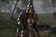 Promotion screenshot of an Imperial soldier.