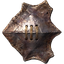 Хитиновый щит