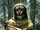Random Encounters (Skyrim)