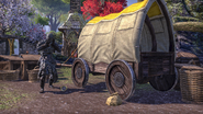 Earomar petrified next to his wagon.